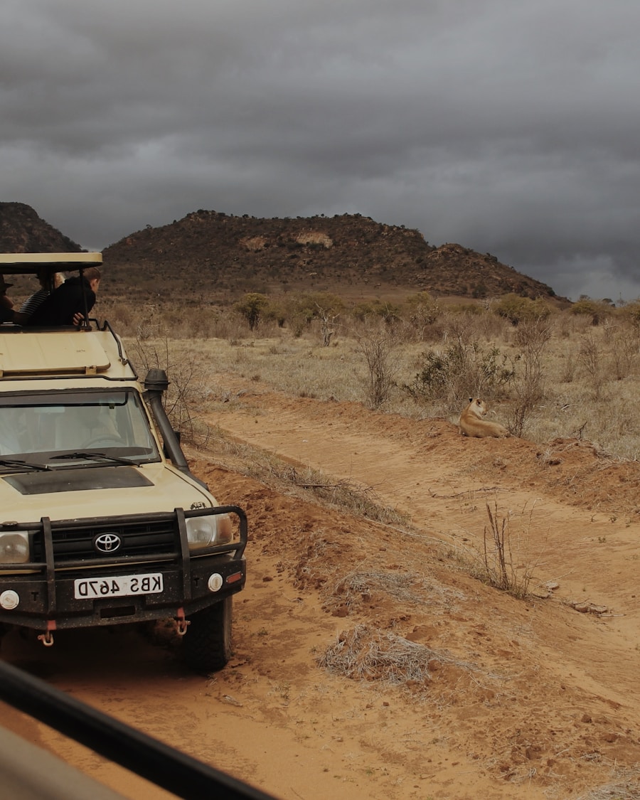 Group road trip through open landscapes